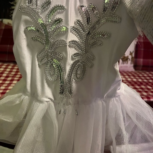 Swan Lake Ballet Dress - Picture 4 of 6